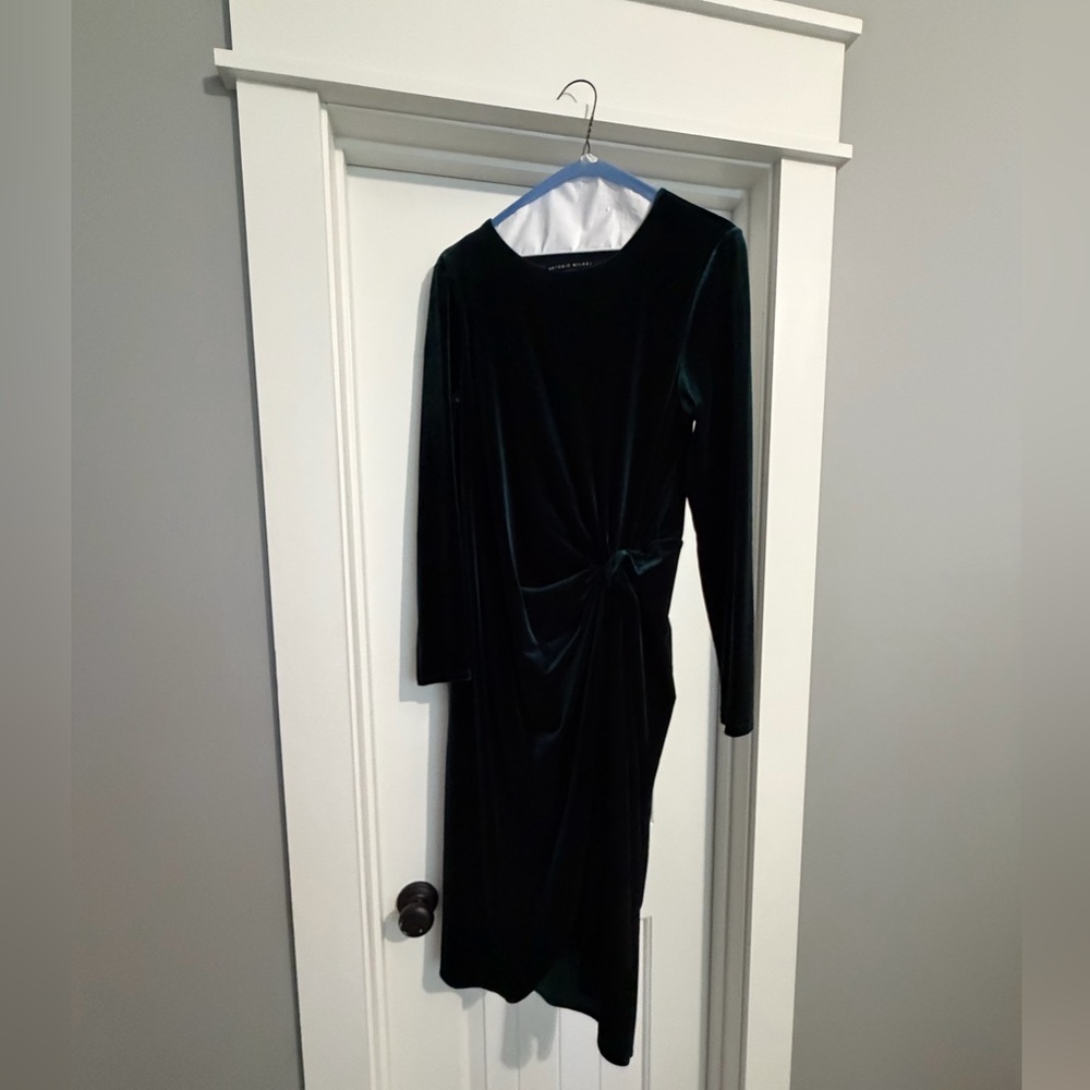 Antonio Melani Green Velvet Dress